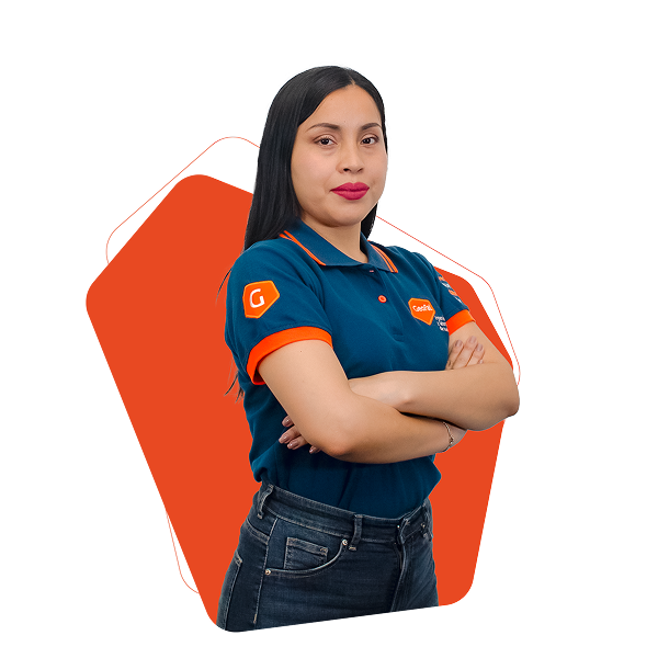 Recepción Geofal